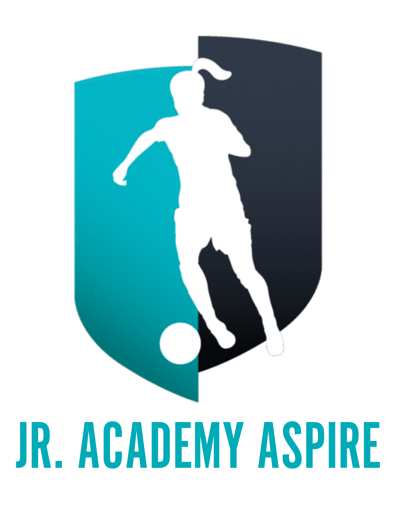 JR ACADEMY ASPIRE LOGO